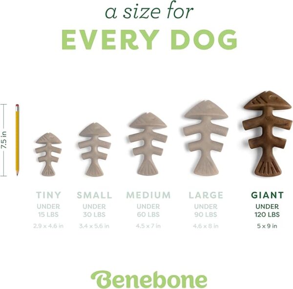Benebone Fishbone Durable Dog Chew Toy for Aggressive Chewers, Real Fish - Image 3